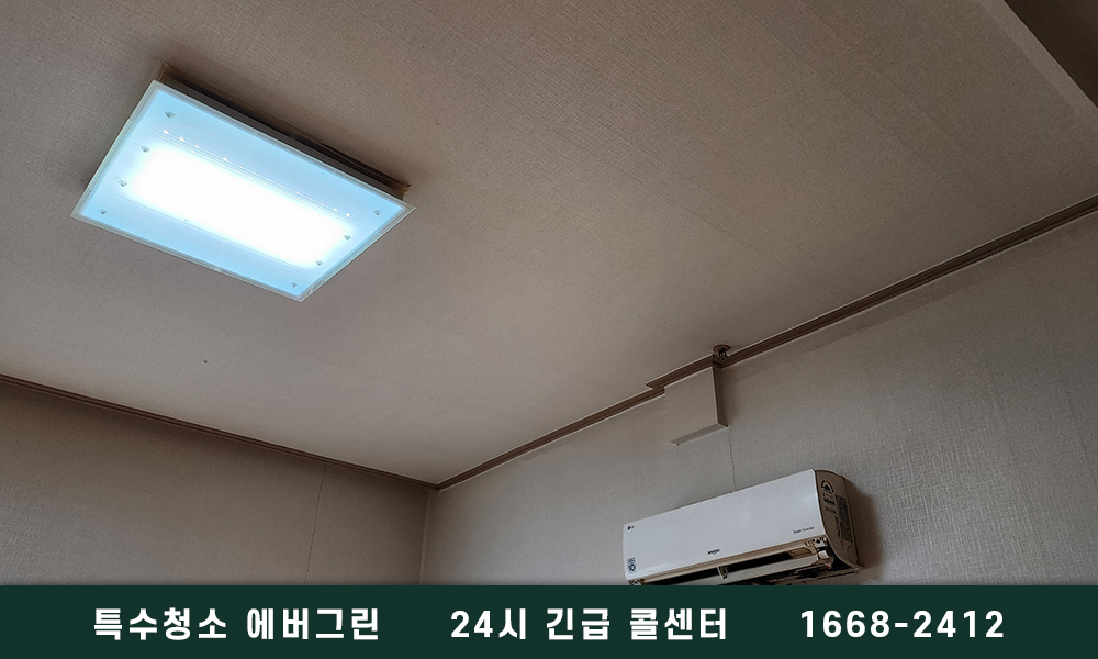 포항시 쓰레기집청소