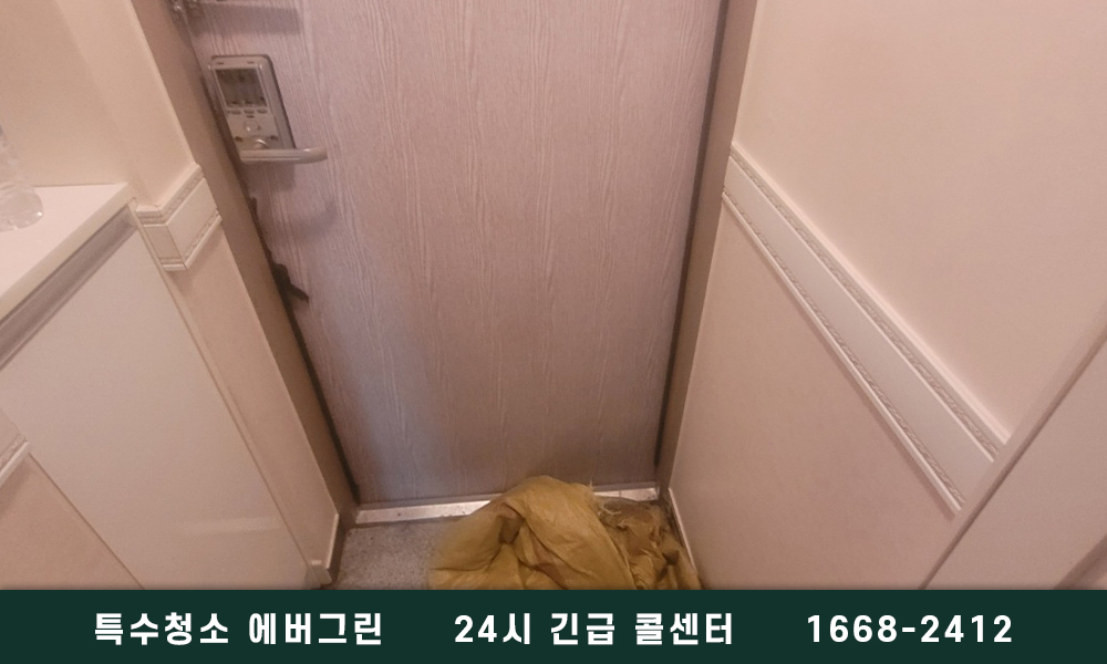 하남 미사 쓰레기집청소 