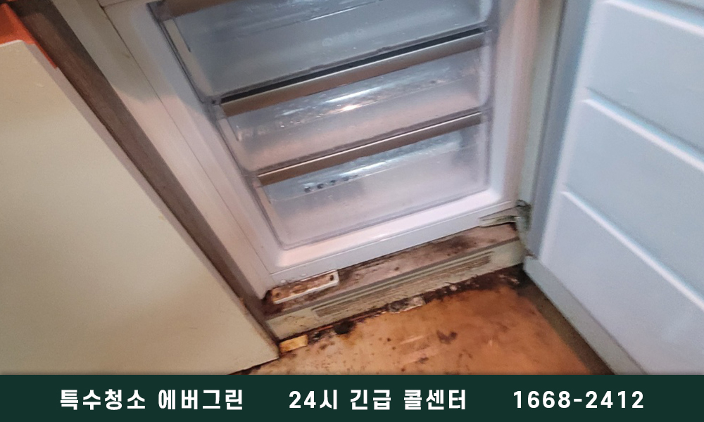 강릉시 고독사청소