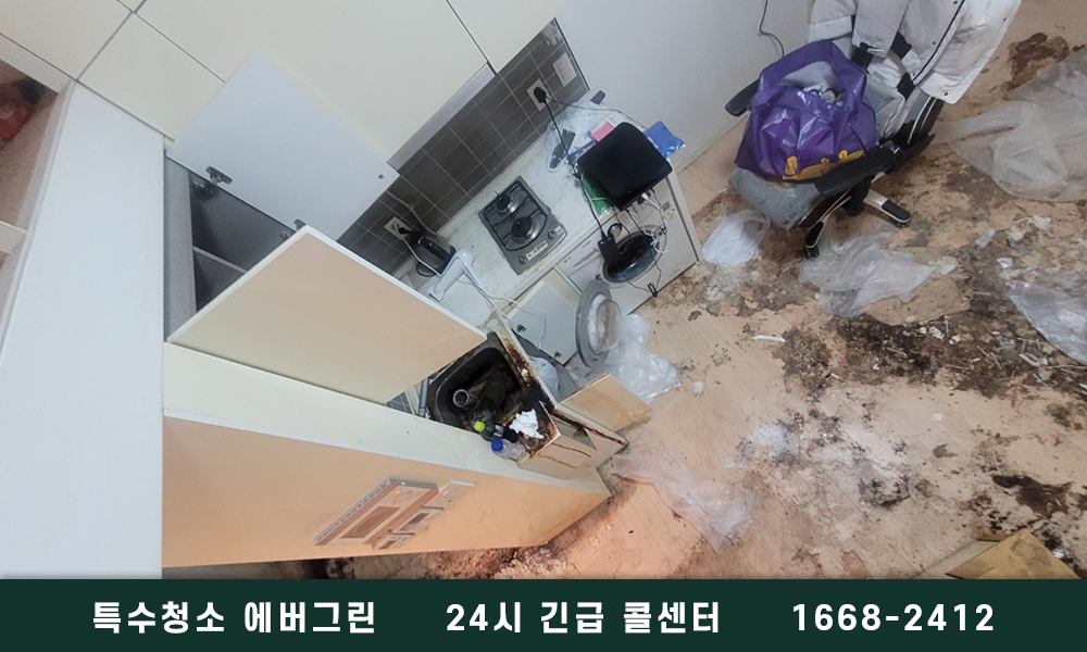 강릉시 고독사청소