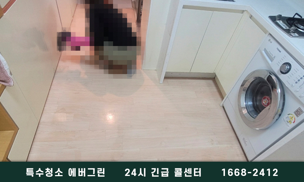 강릉시 고독사청소