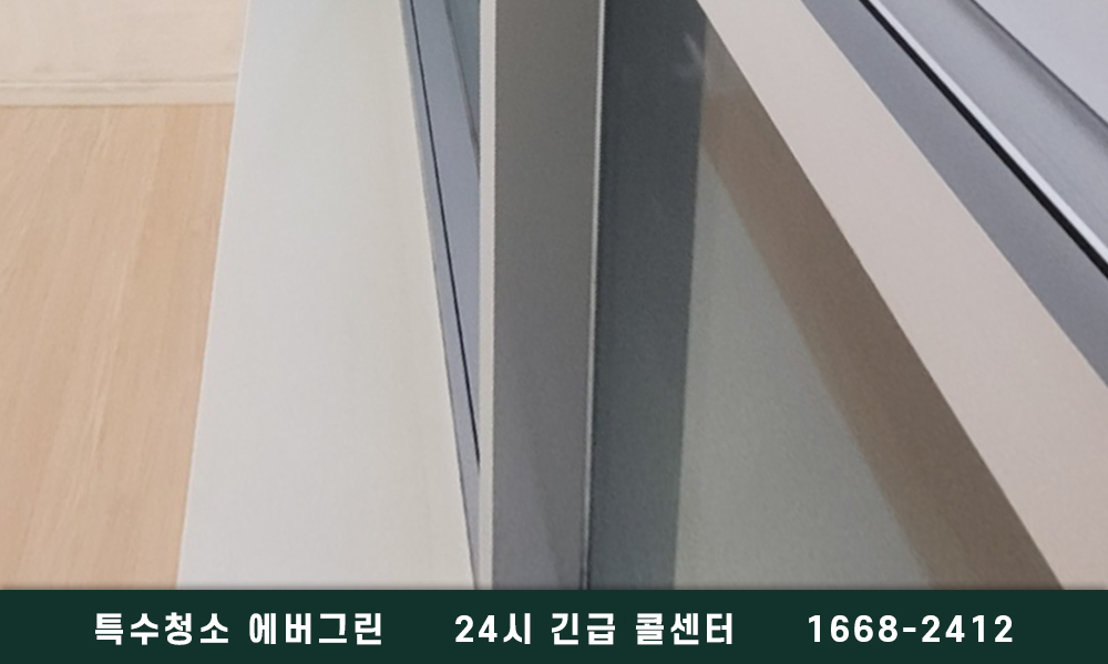 남양주시 고독사청소