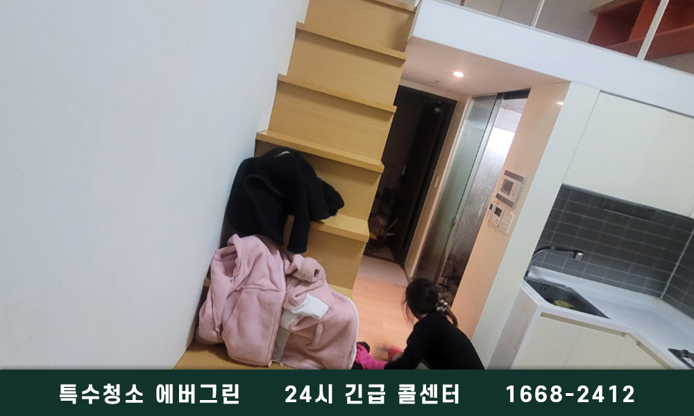 남양주시 고독사청소