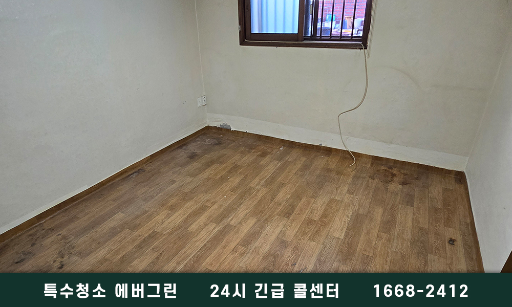 대전시 유품정리