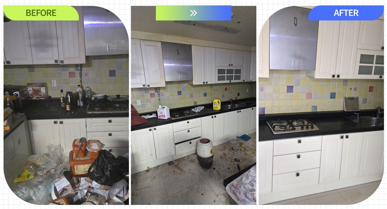 대구시 쓰레기집청소