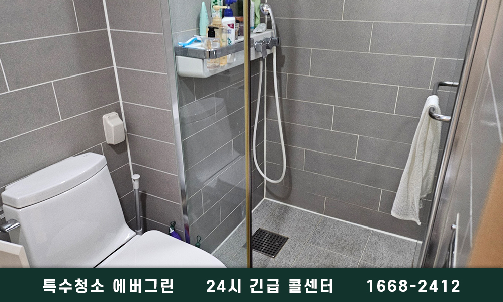 대구시 쓰레기집청소