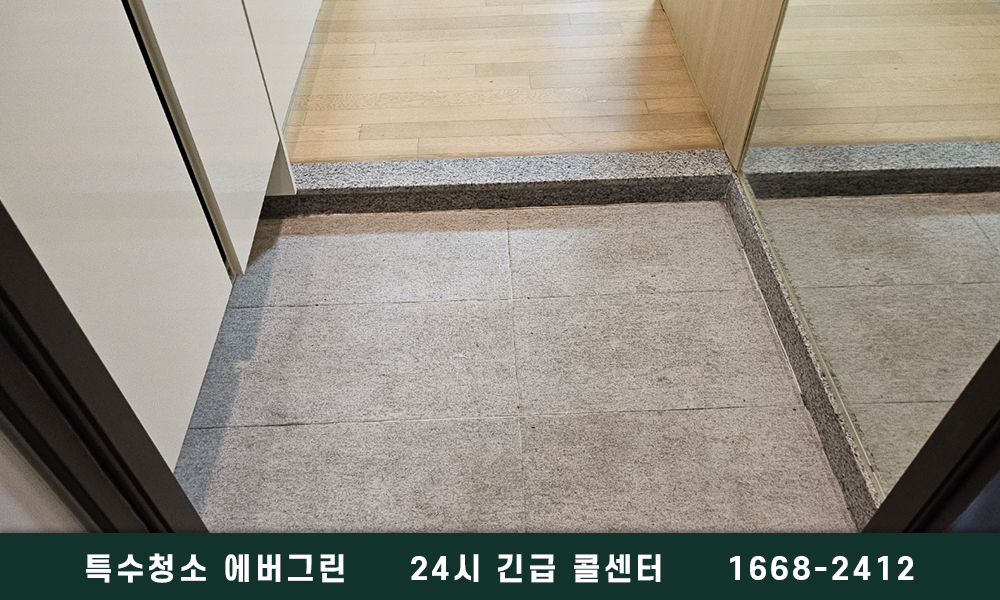 대구시 쓰레기집청소