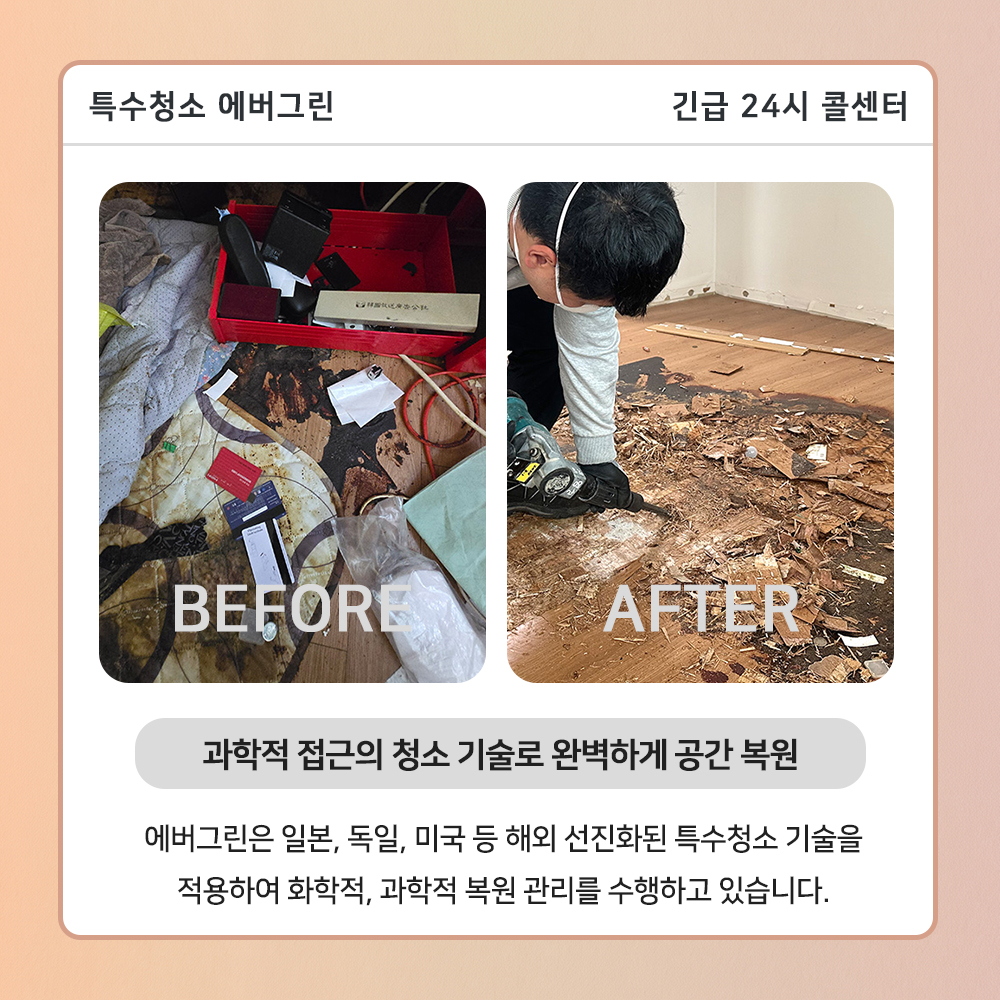 금천구 고독사청소
