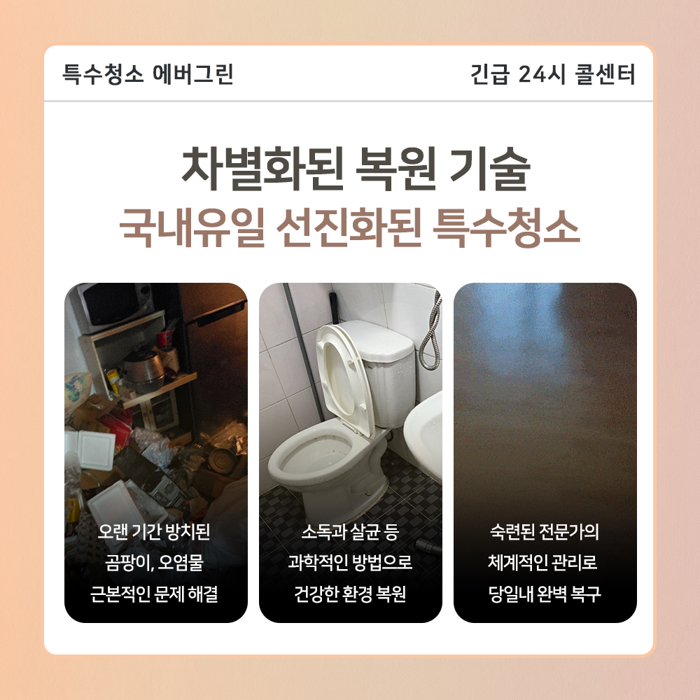 덕양구 고독사청소