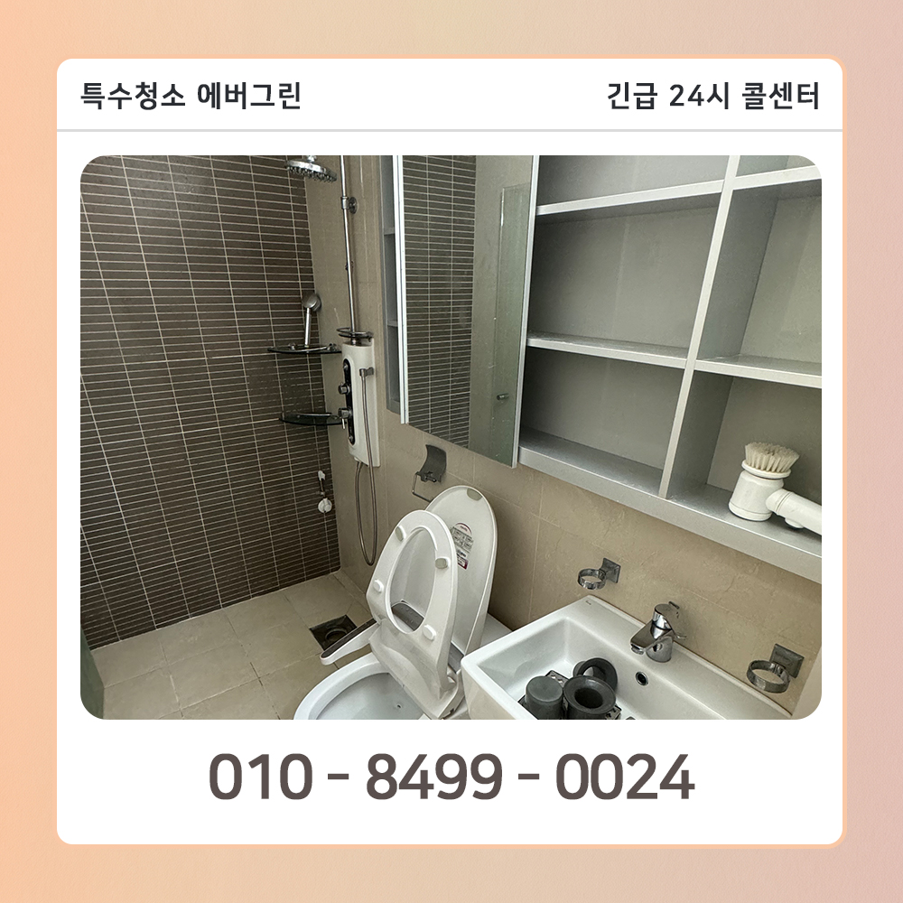 덕양구 고독사청소