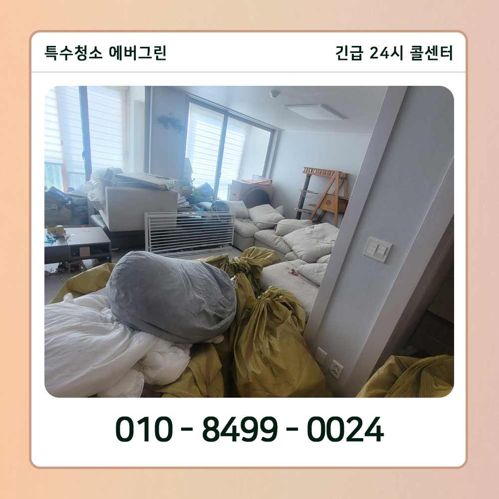 서울 영등포구 쓰레기집청소