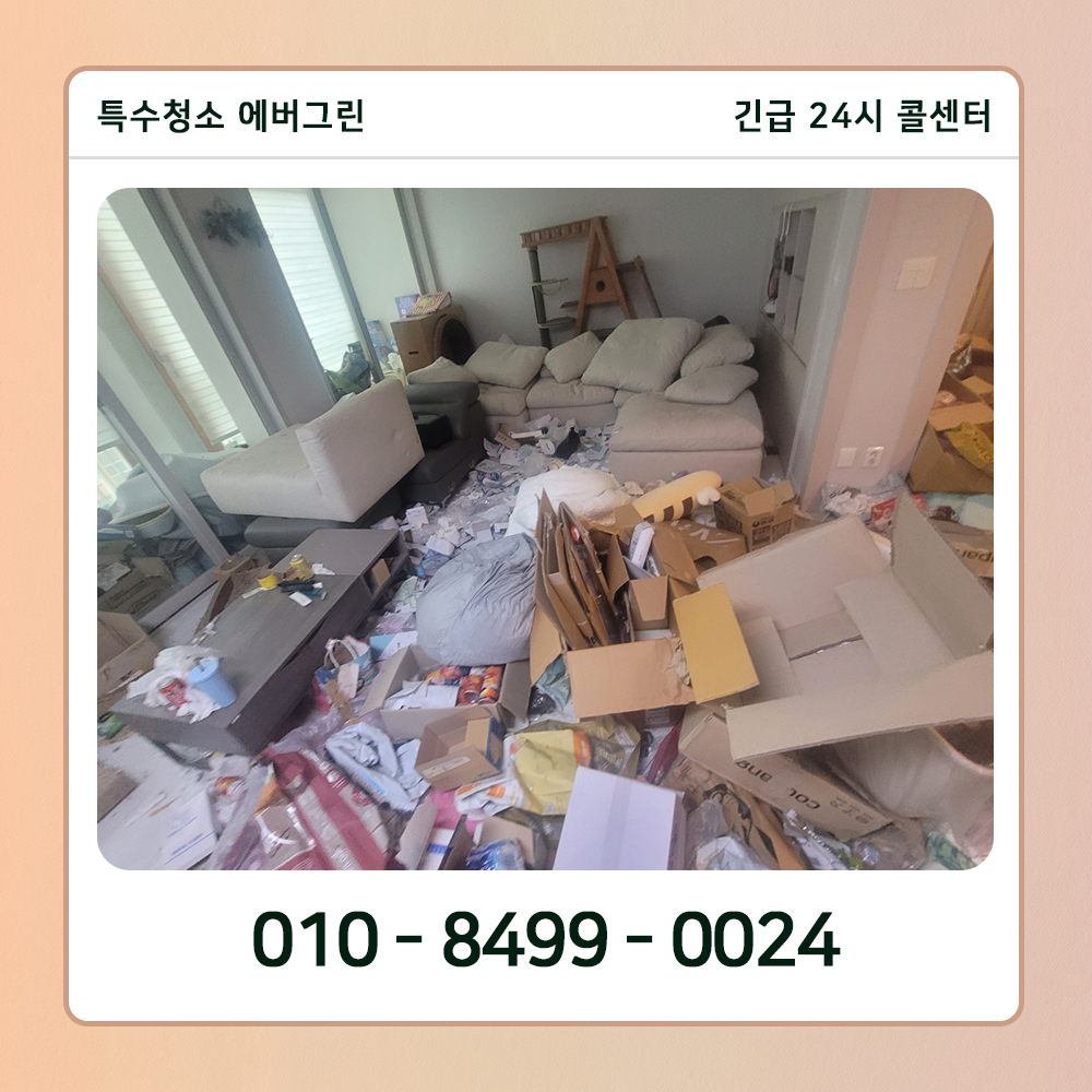 서울 영등포구 쓰레기집청소