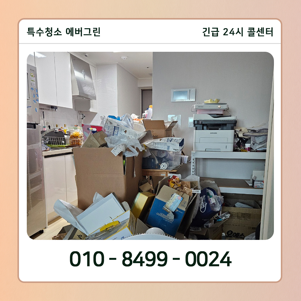 성남 분당구 쓰레기집청소