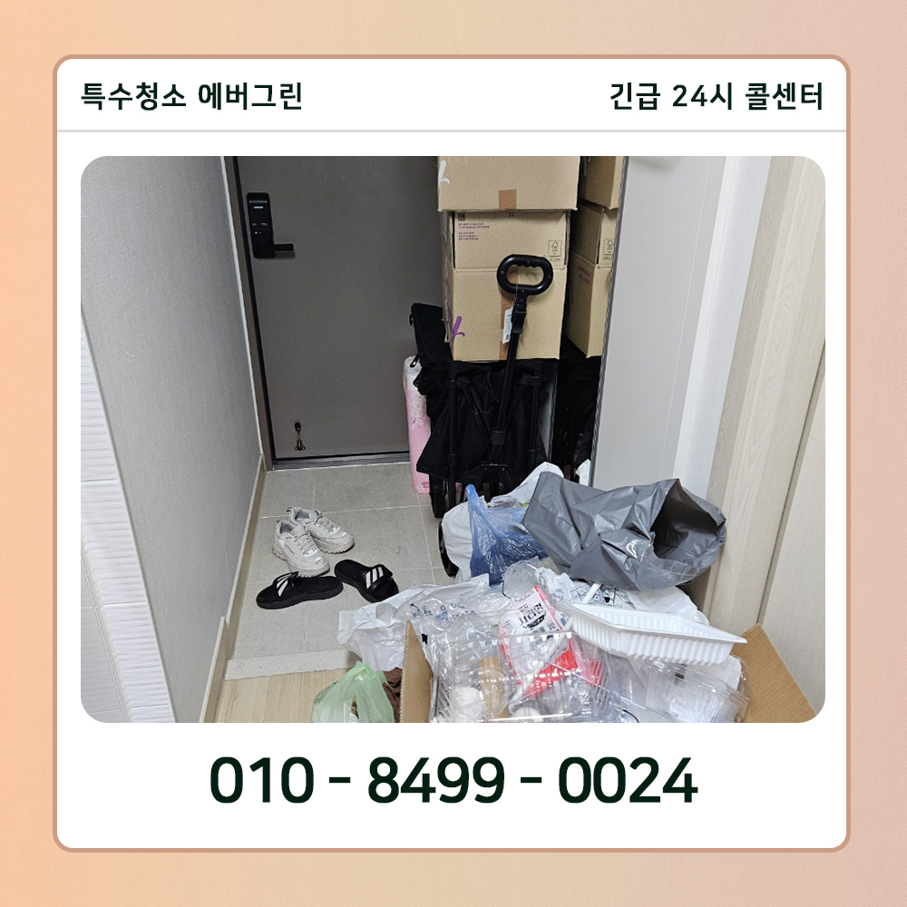 성남 분당구 쓰레기집청소