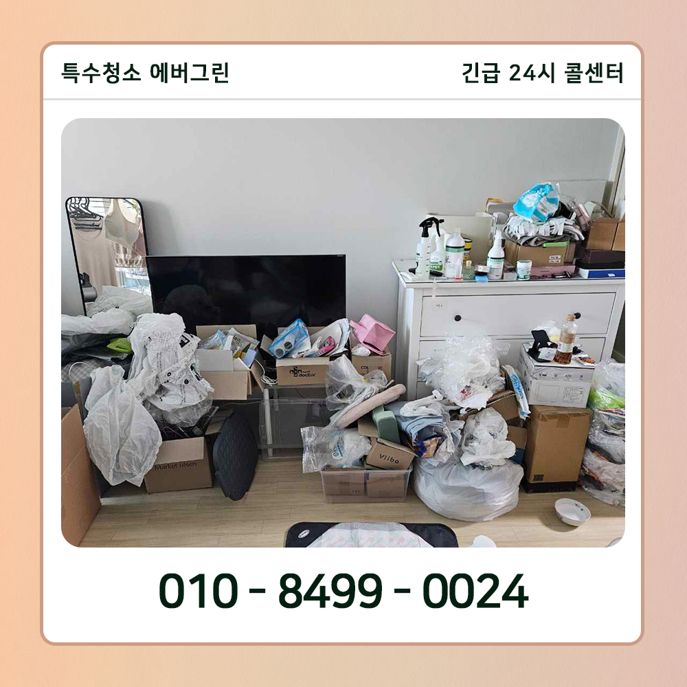 성남 분당구 쓰레기집청소