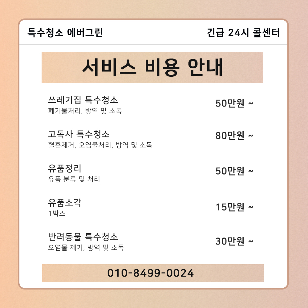 성남 분당구 쓰레기집청소