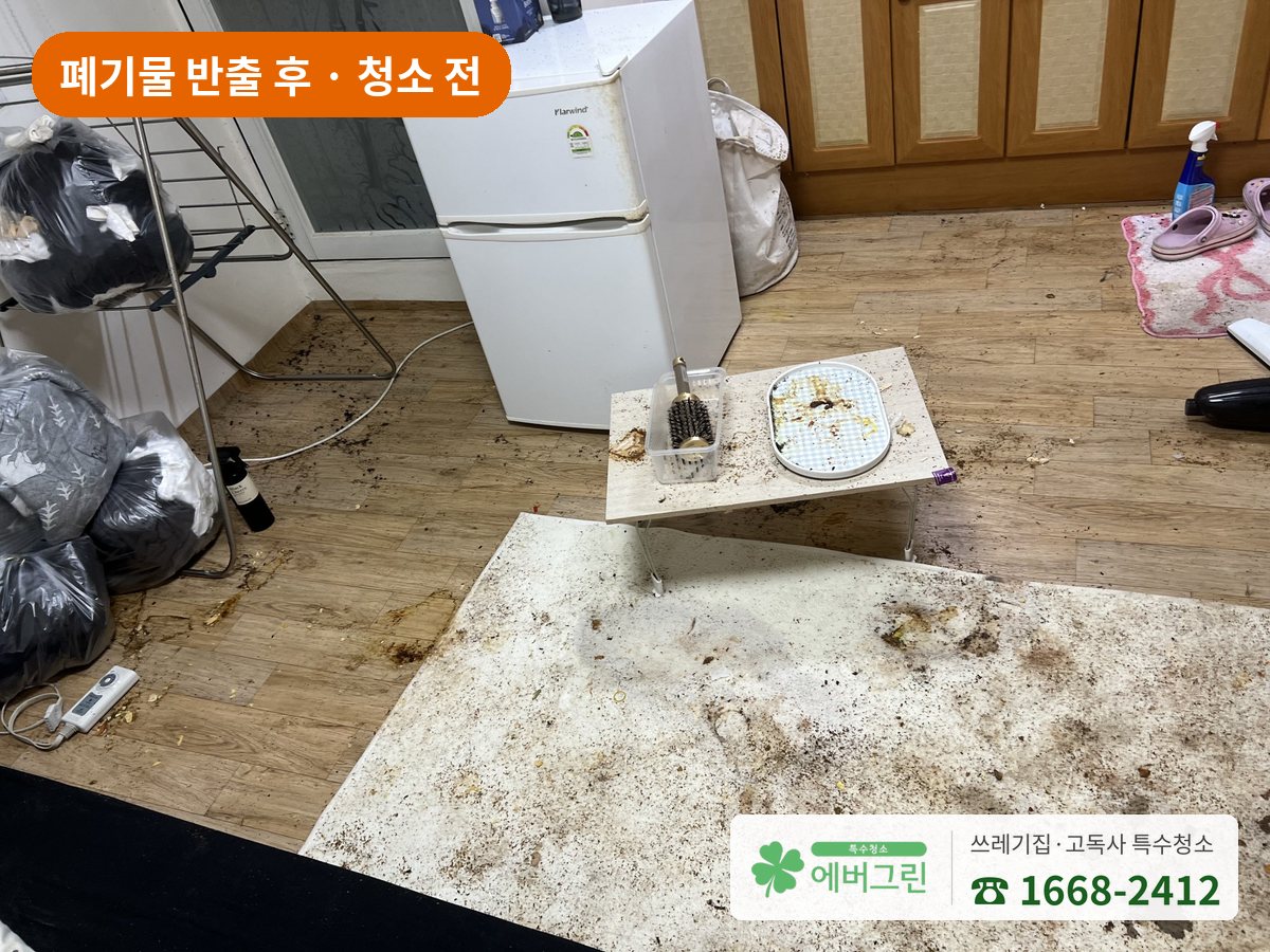쓰레기집 폐기물 반출 후 청소 전 바닥 깔개에 남은 얼룩과 오염