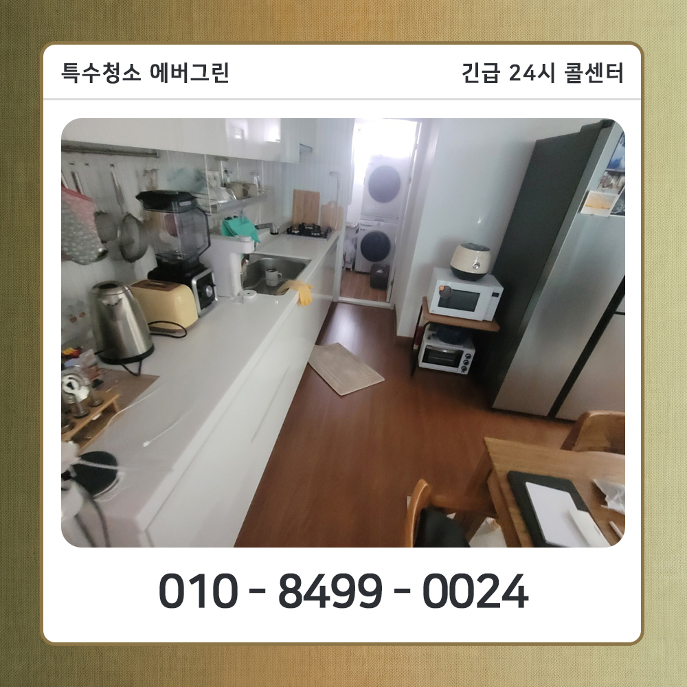 강동구 고독사청소