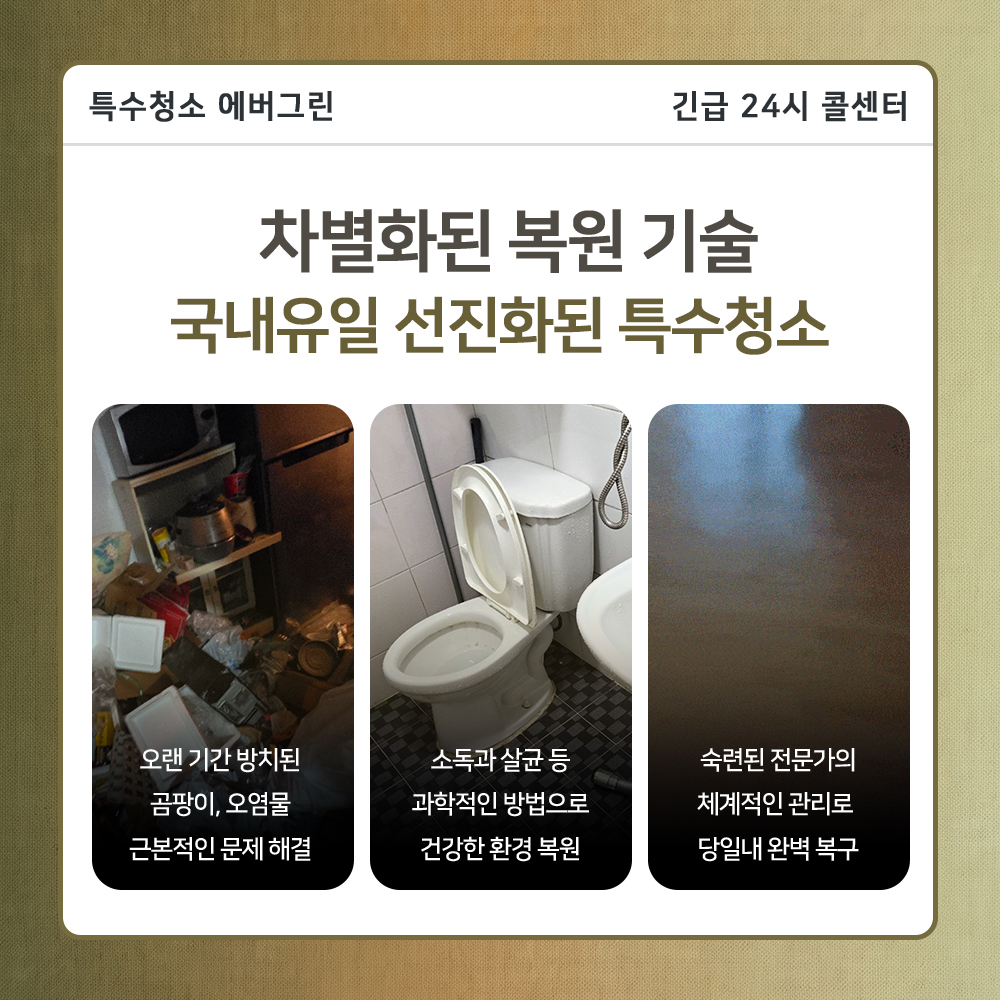 강동구 고독사청소