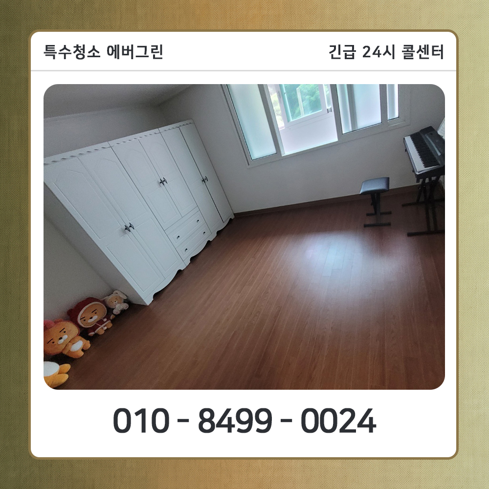 강동구 고독사청소