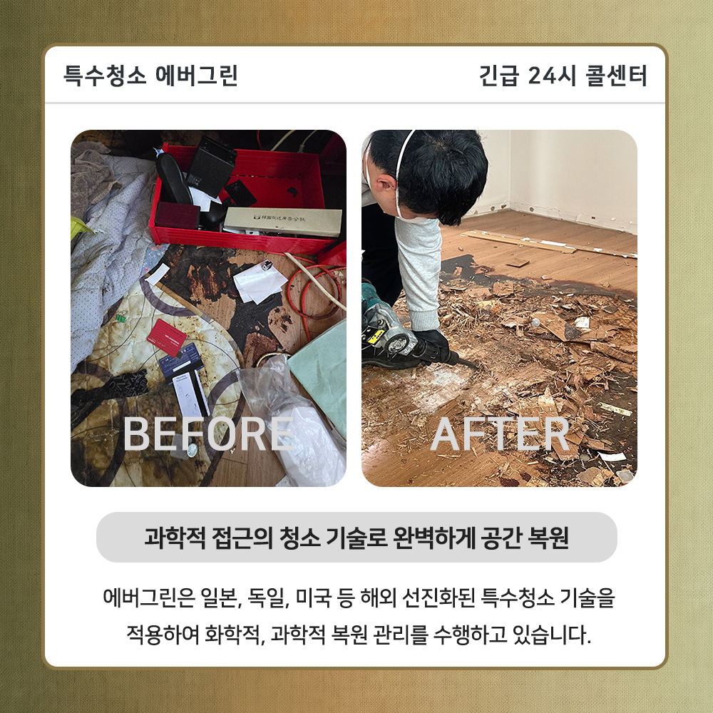 강동구 고독사청소