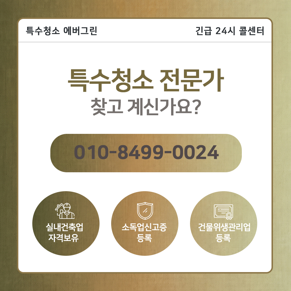 강동구 고독사청소