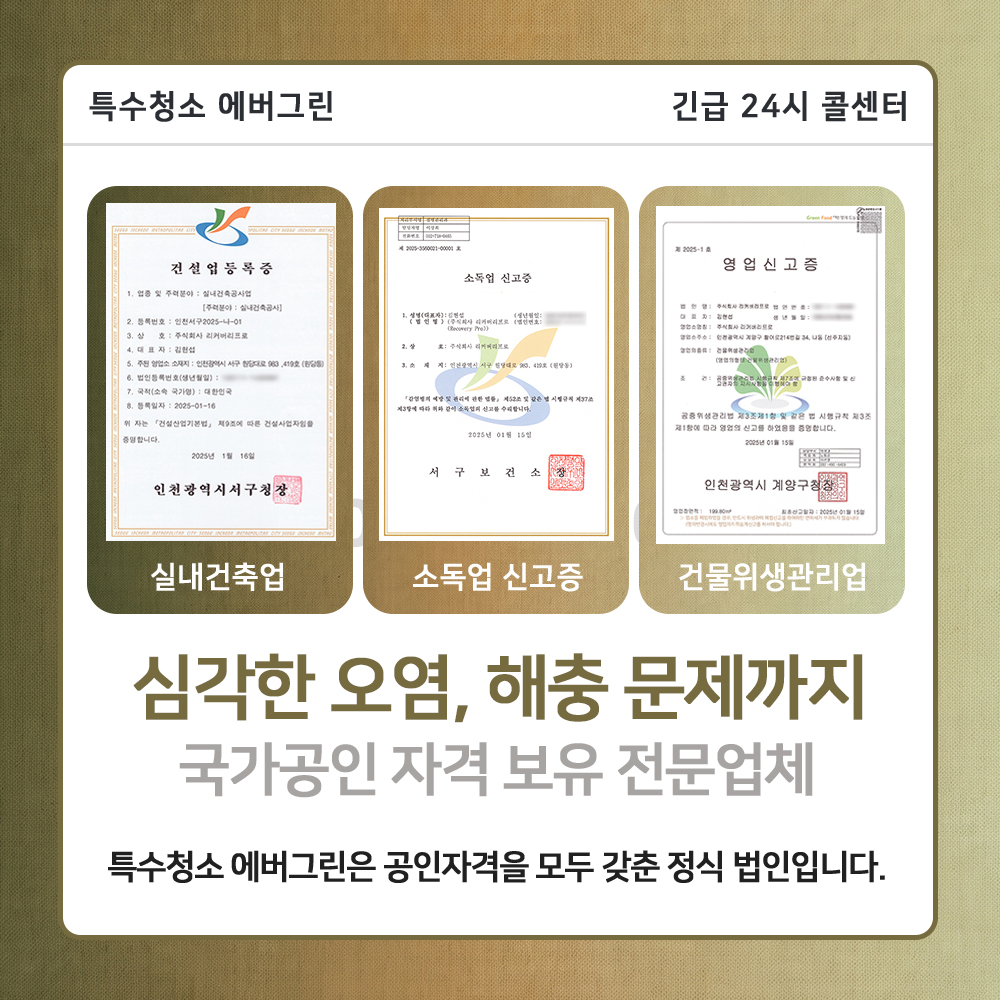 강동구 고독사청소