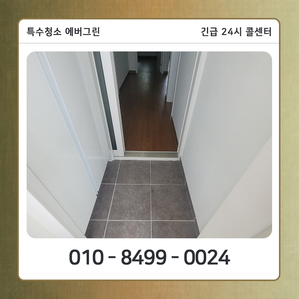 강동구 고독사청소