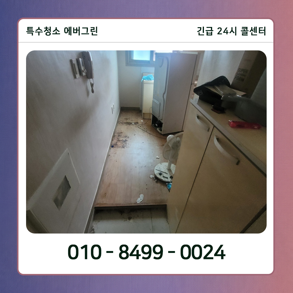 강동구 쓰레기집청소