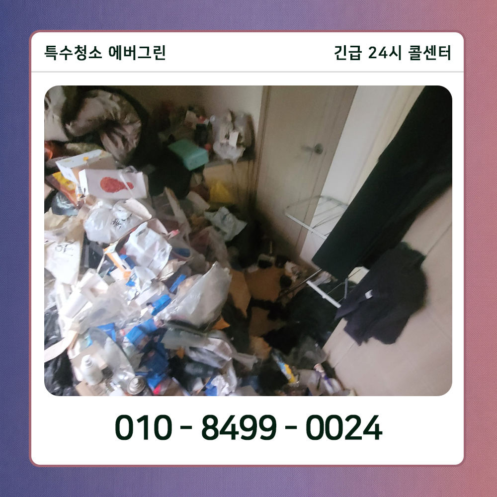 강동구 쓰레기집청소