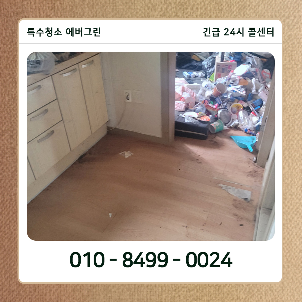 금천구 쓰레기집청소