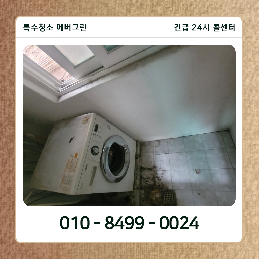 부평구 쓰레기집청소
