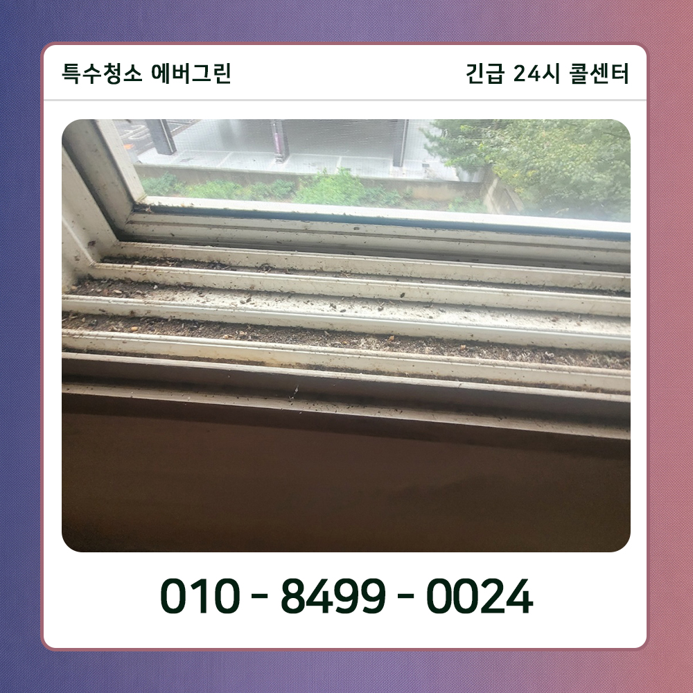서대문구 쓰레기집청소
