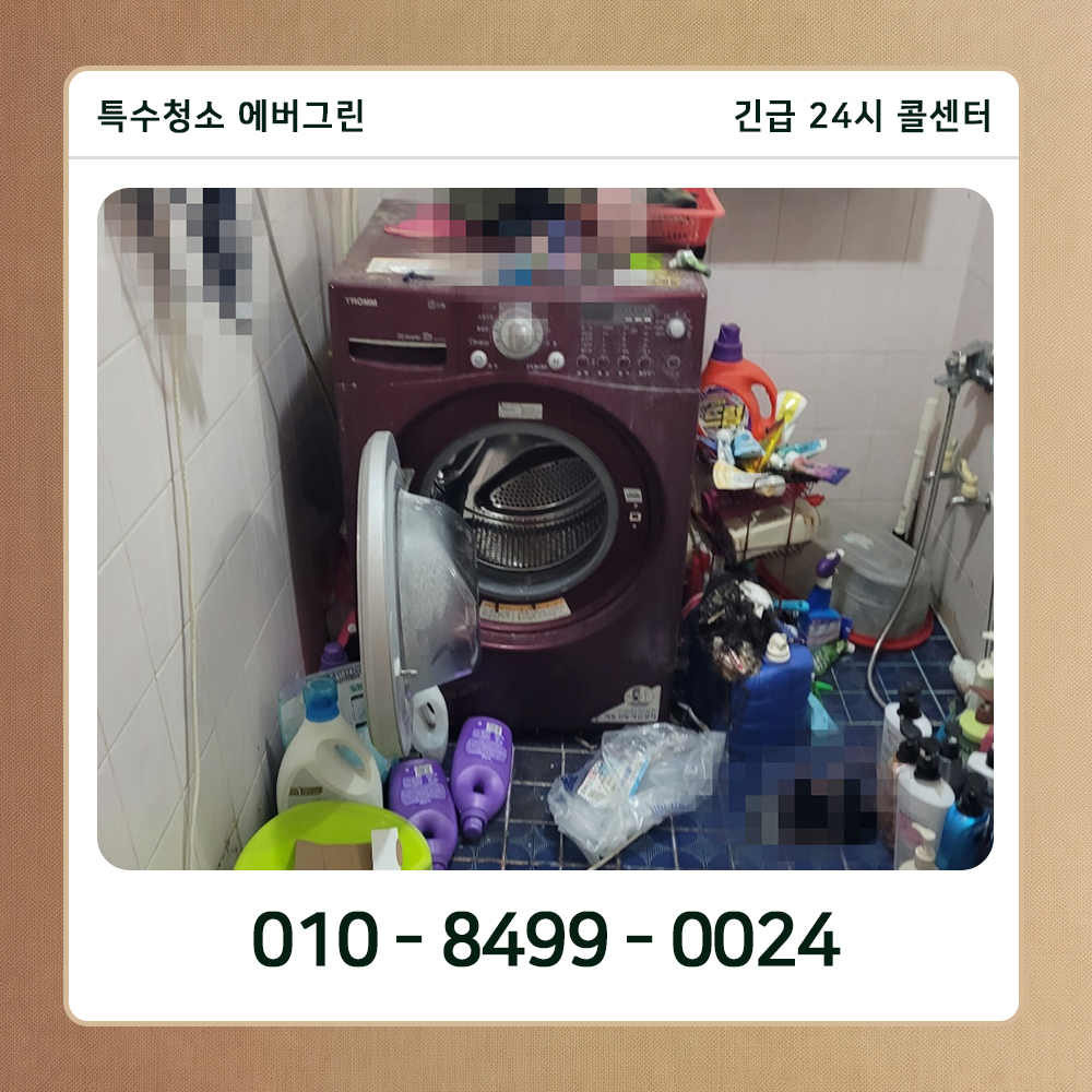 서대문구 쓰레기집청소